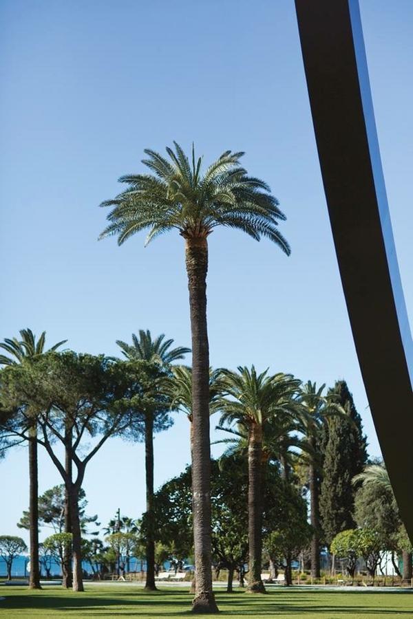 La Croix - F3, Terrasse Vue Panoramique, Vieux-Nice Old Town And Terrace מראה חיצוני תמונה